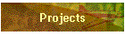 Projects